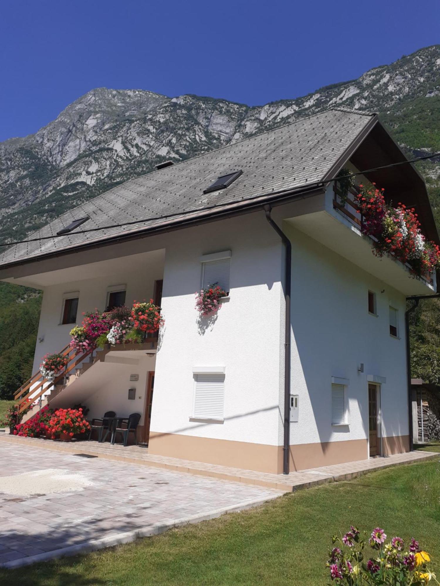 Apartma Pod Rozem Soča Εξωτερικό φωτογραφία