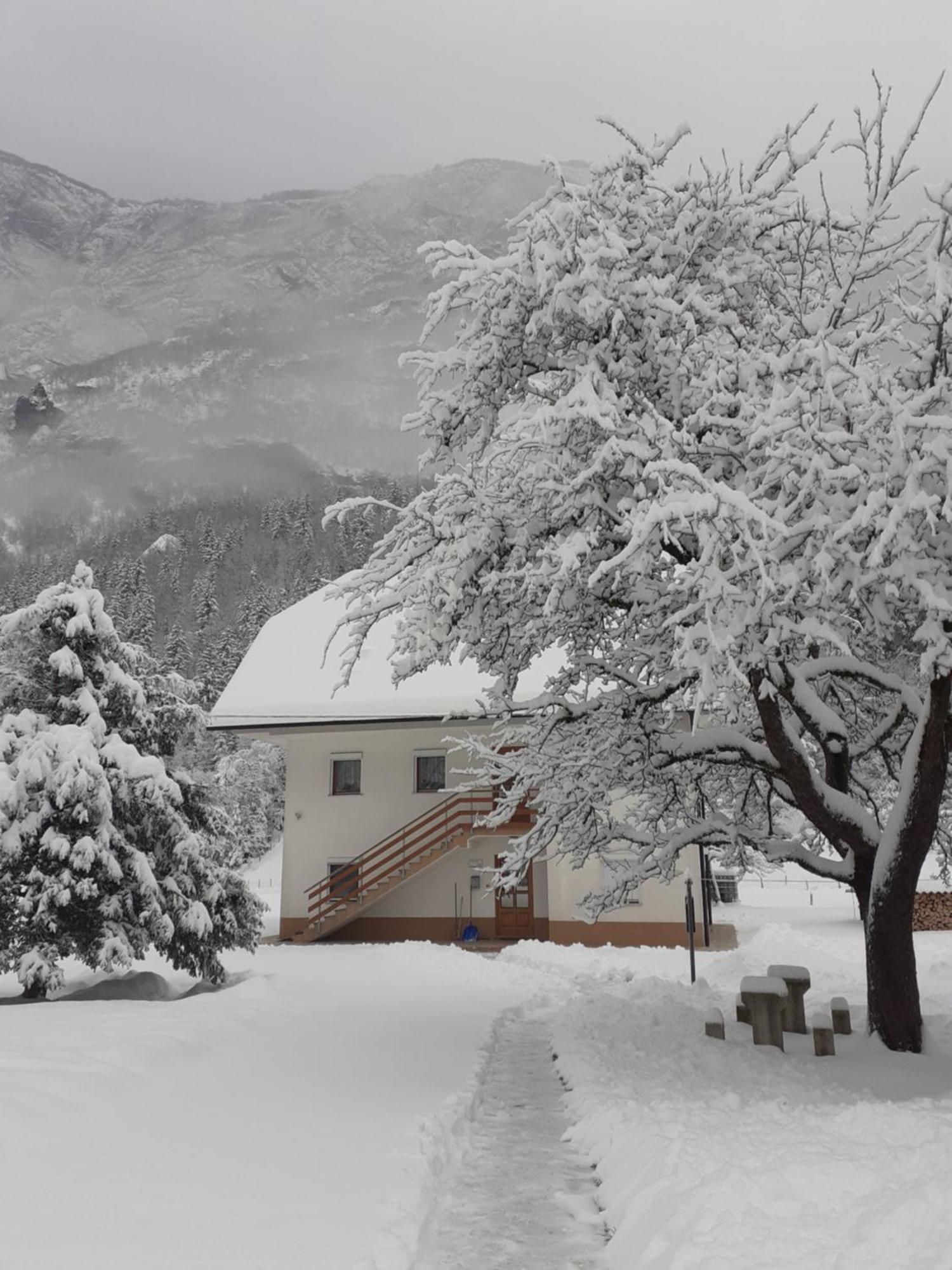 Apartma Pod Rozem Soča Εξωτερικό φωτογραφία
