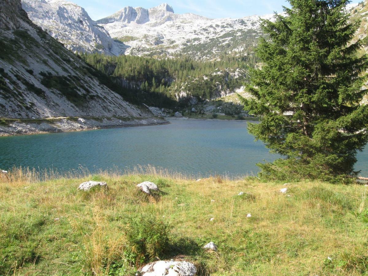 Apartma Pod Rozem Soča Εξωτερικό φωτογραφία